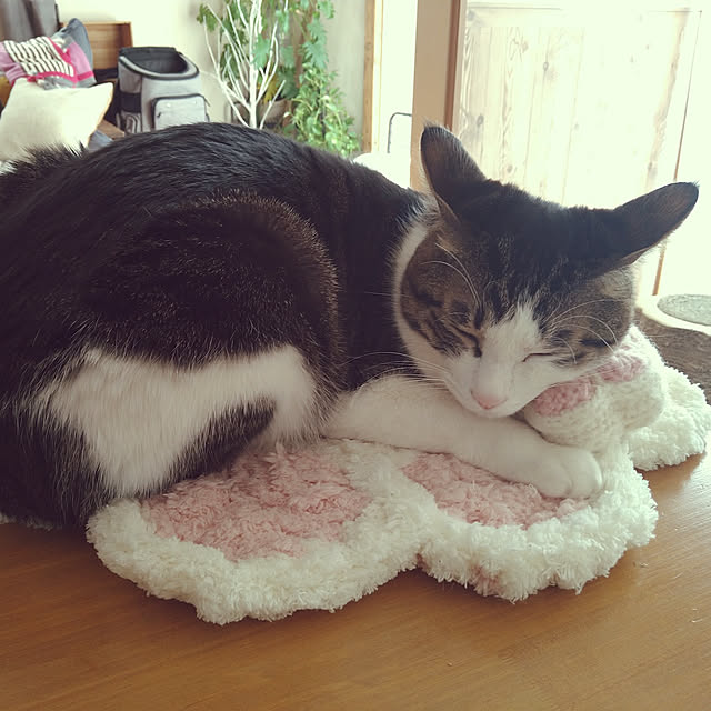 mikisunさんの実例写真
