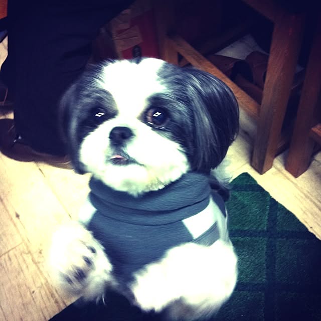 Minamiさんの実例写真