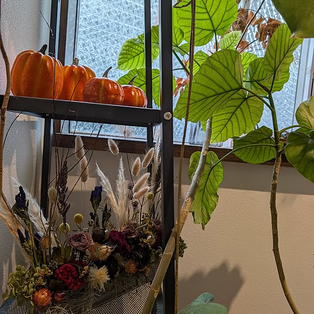 milk_hana_さんの部屋