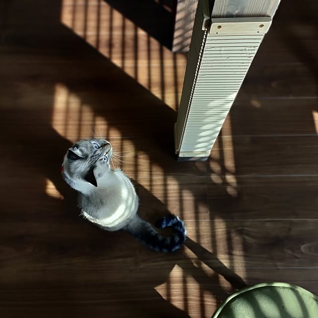 Atelier_tamakiさんの実例写真