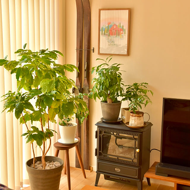 mikigumaさんの実例写真