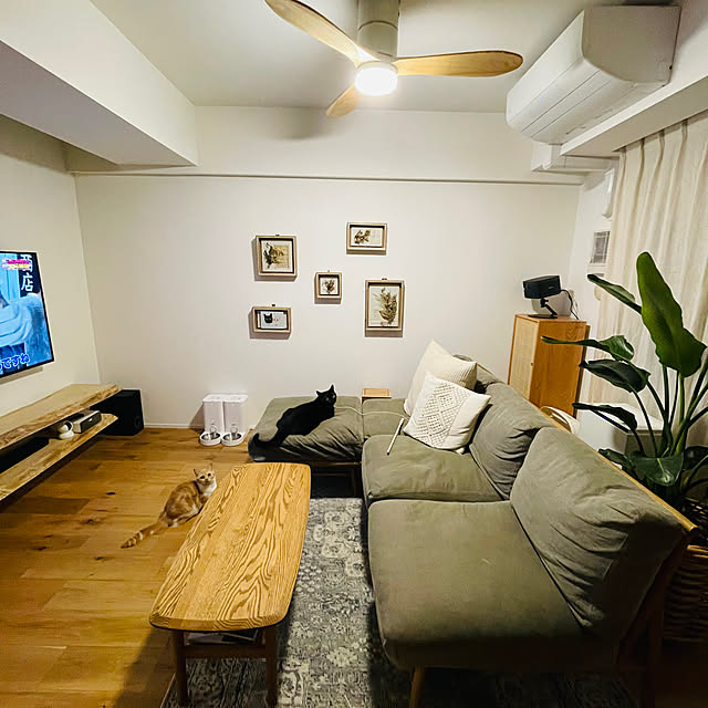 mayutakaさんの部屋