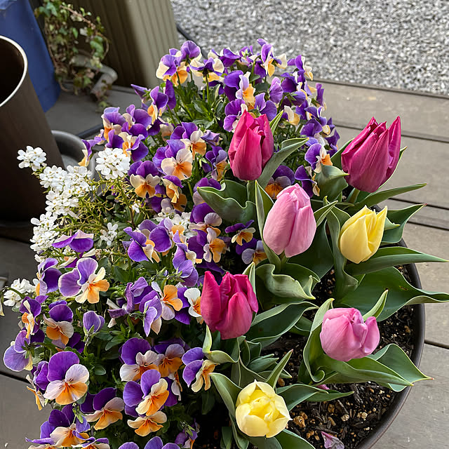 namecoさんの実例写真