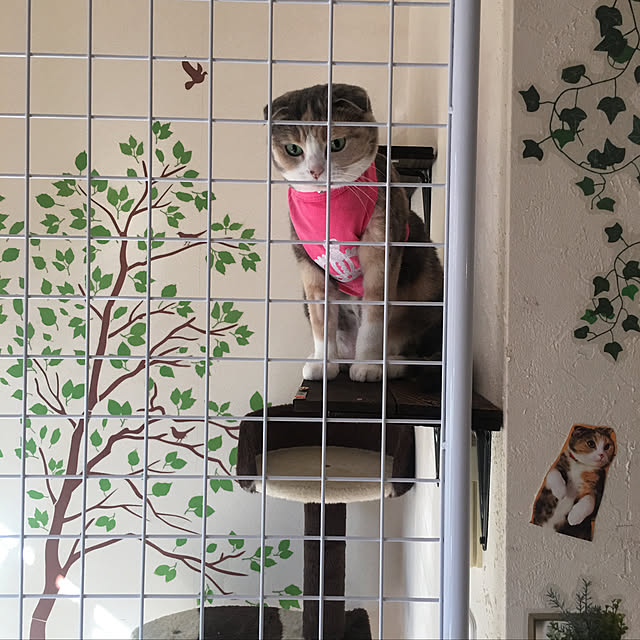 Mari-aさんの実例写真