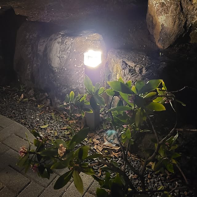 Rubiconさんの部屋