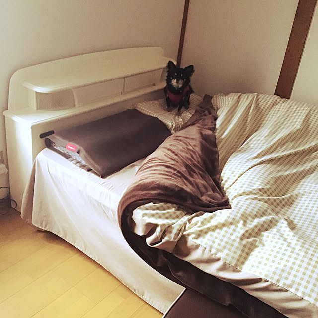 sakuさんの実例写真