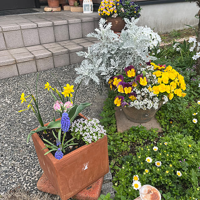 ritsukoさんの実例写真