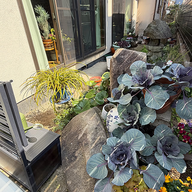 buchiさんの部屋