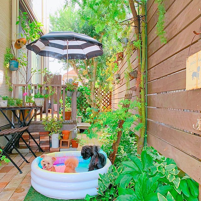 risaさんの実例写真