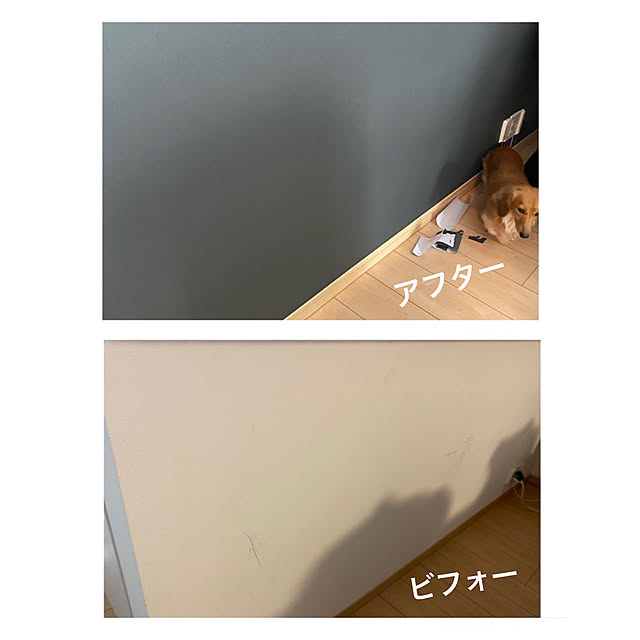 swさんの実例写真