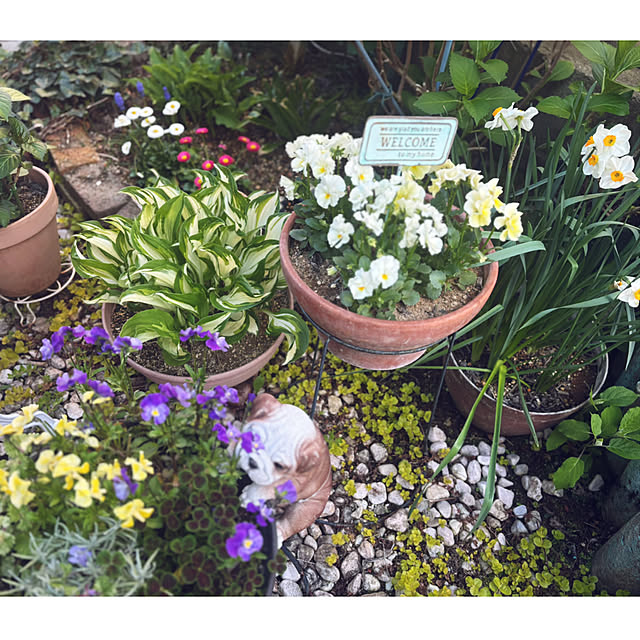 CoCo0617さんの部屋