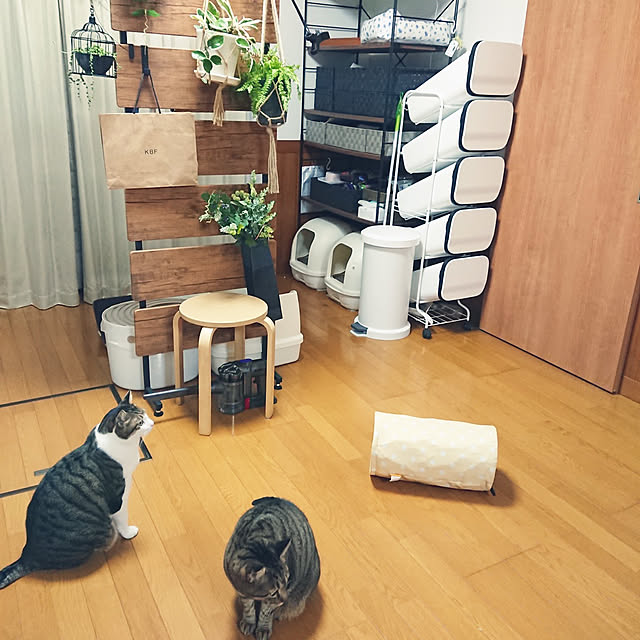 nachiさんの実例写真