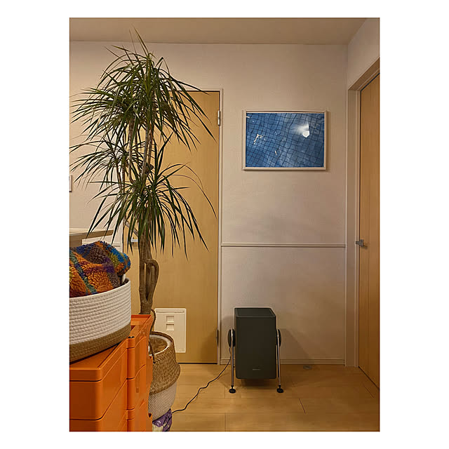 Oriorioさんの実例写真