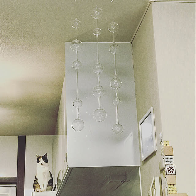 mtkさんの実例写真