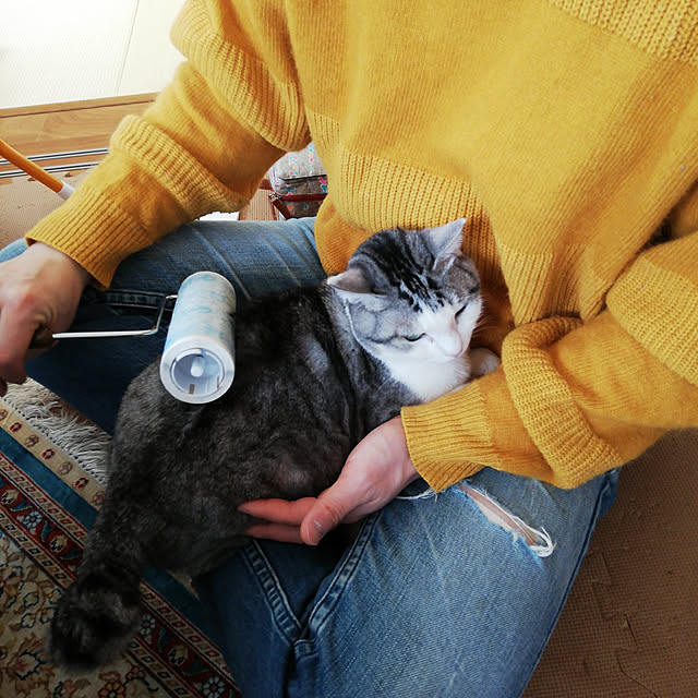 chachachaさんの実例写真