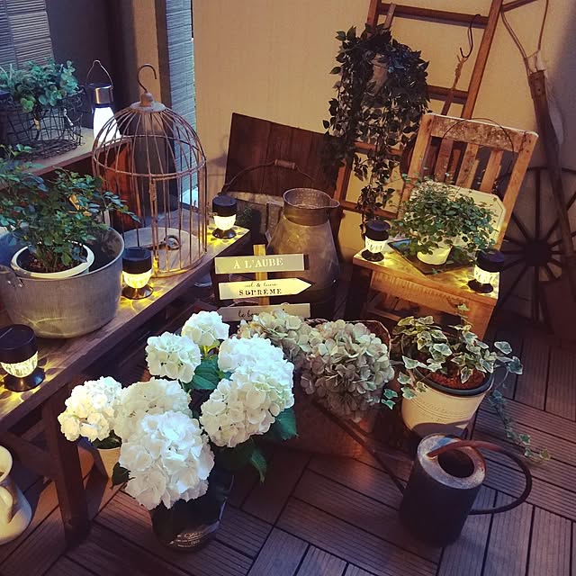 mari_mariさんの実例写真