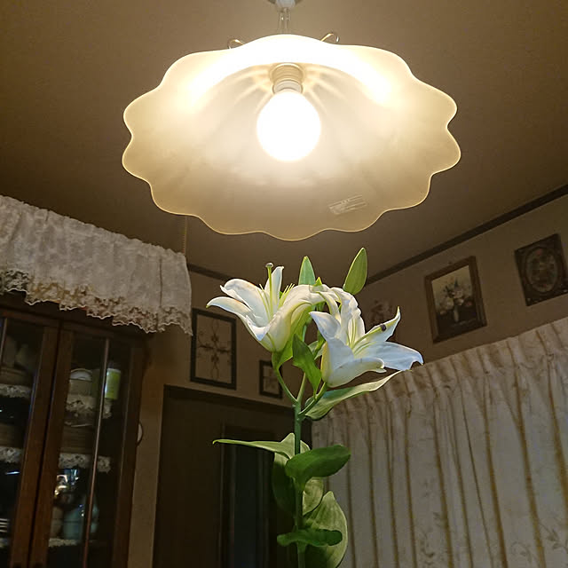 junkn6さんの実例写真