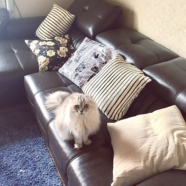 miyapp.hiroppさんの実例写真