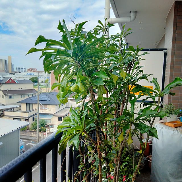 reko639さんの部屋