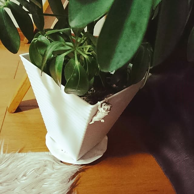 makaronさんの実例写真