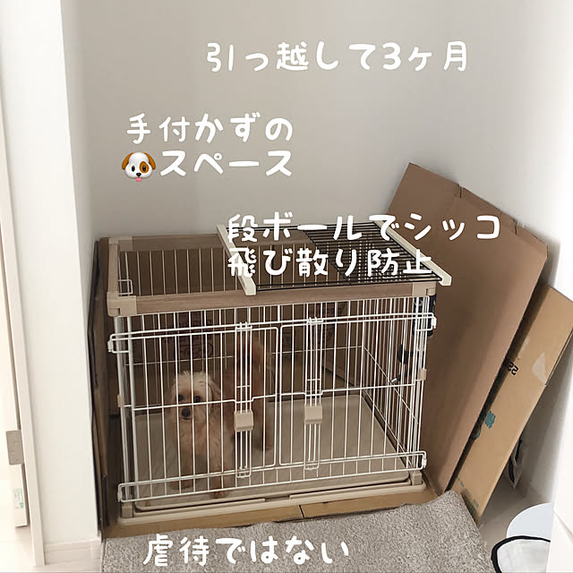 qooさんの実例写真