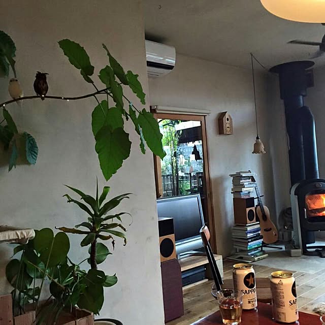 部屋全体/ヨツール/薪ストーブ/植物のインテリア実例 - 2015-12-07 23:19:17