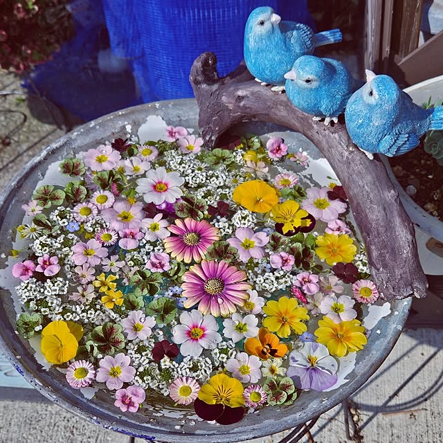 mocomocoさんの実例写真