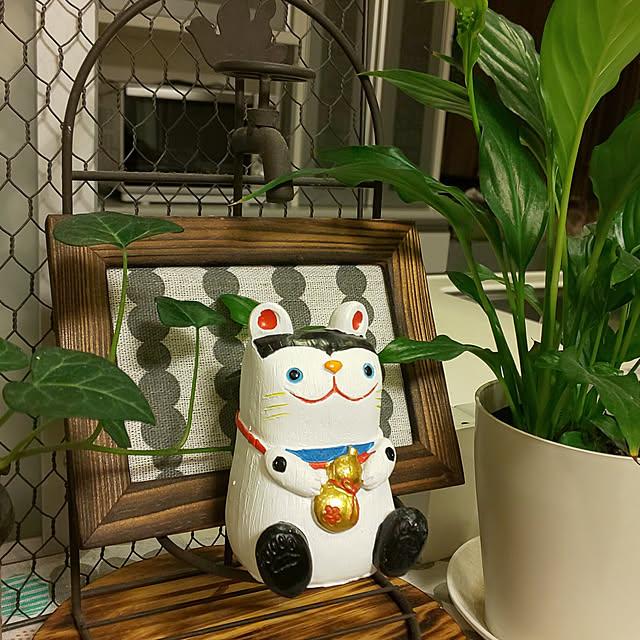 KOHAKUさんの実例写真