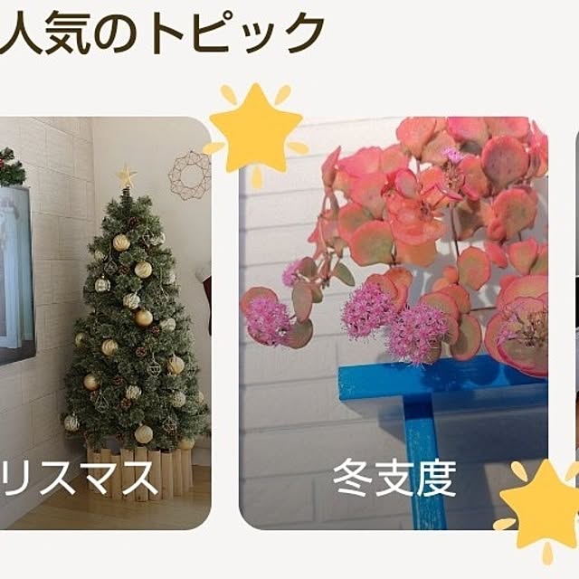 Miyumamaさんの実例写真
