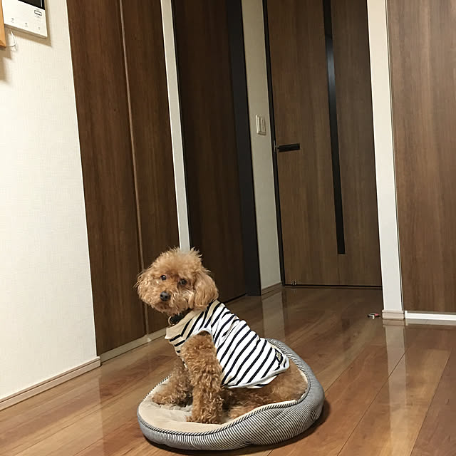 ponさんの実例写真