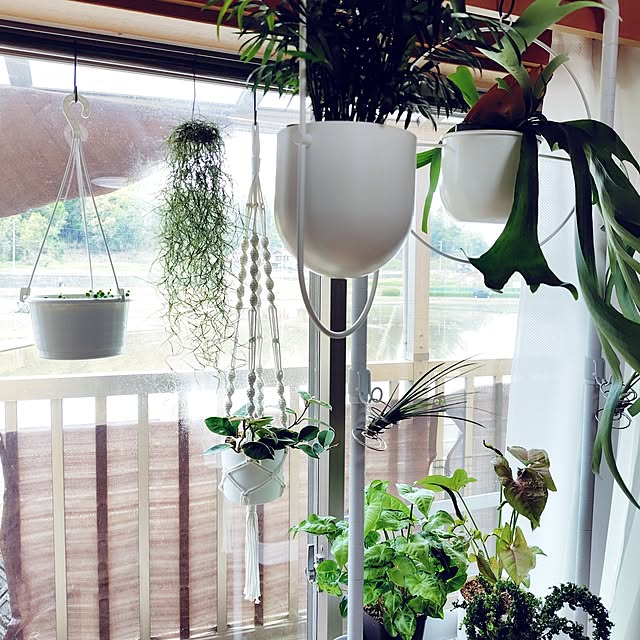 nachiさんの実例写真