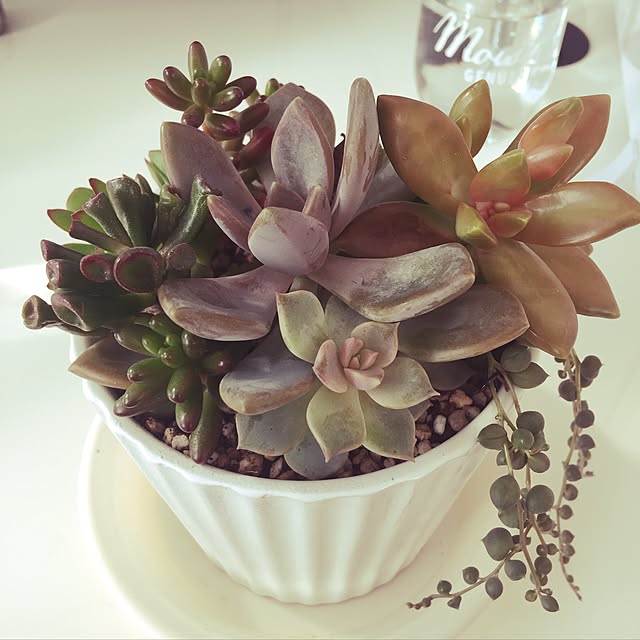 UNI.mamaさんの実例写真