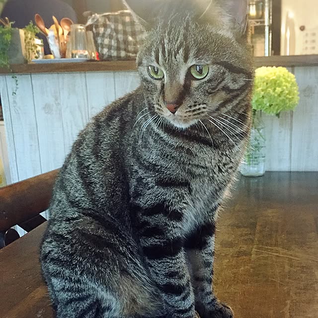 mayuさんの実例写真
