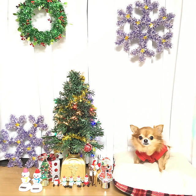 koroさんの実例写真