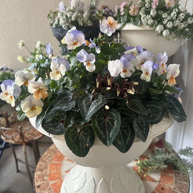 cocoさんの実例写真