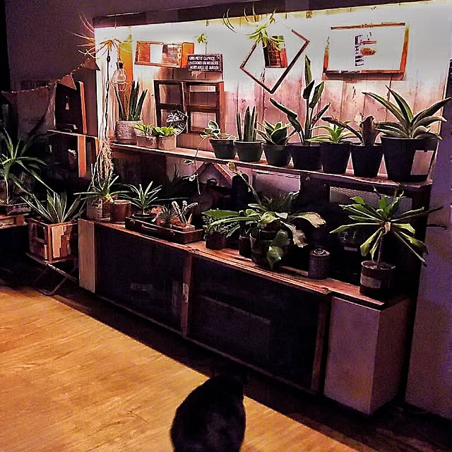 ugさんの実例写真