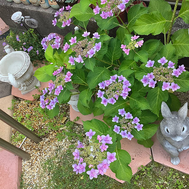 haruminさんの部屋