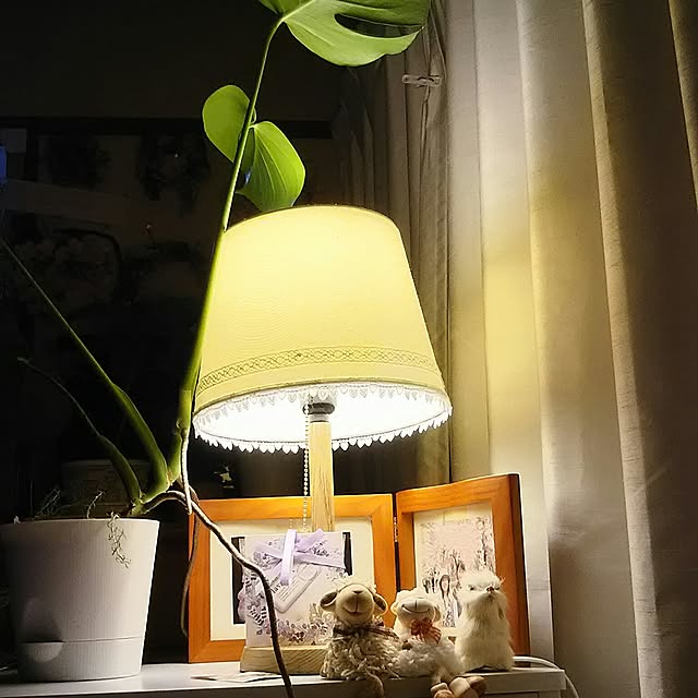 naopyiさんの実例写真