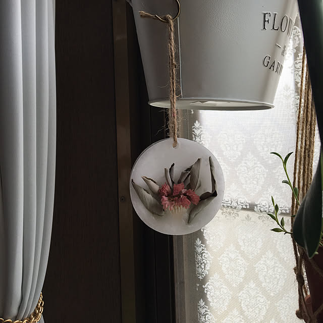 dainaoreiさんの実例写真