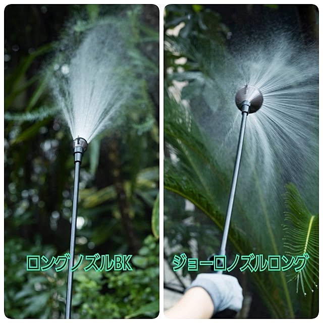 Royal_Gardeners_Clubさんの実例写真