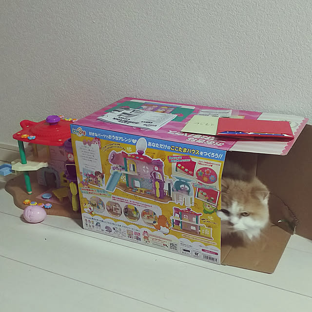 nonkoさんの実例写真