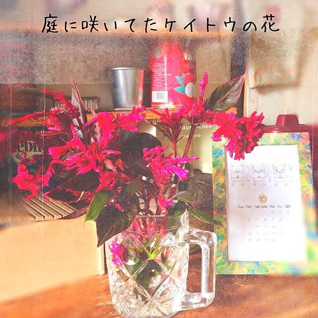 38coreさんの実例写真