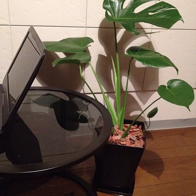 mitamさんの実例写真