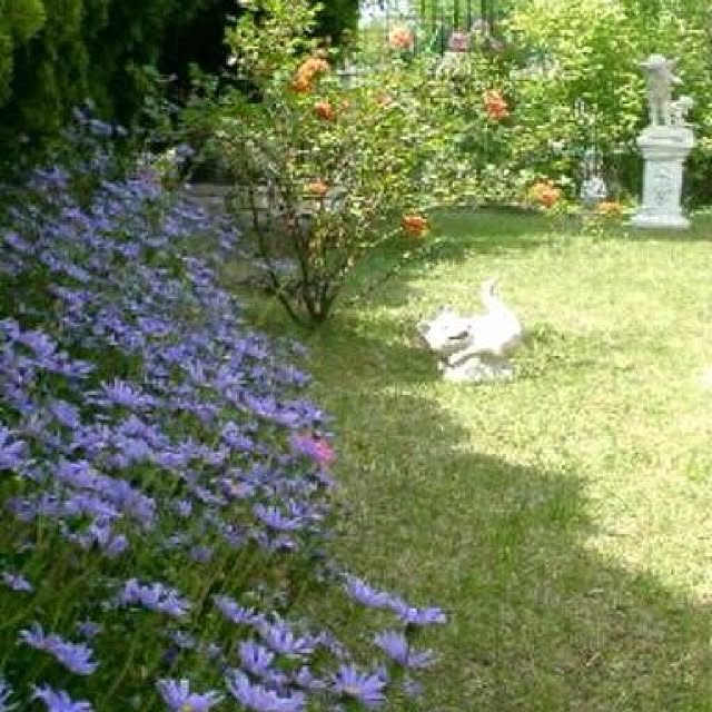 Kaoruさんの実例写真