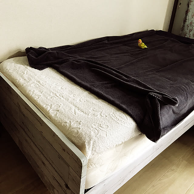 keinagen91さんの実例写真