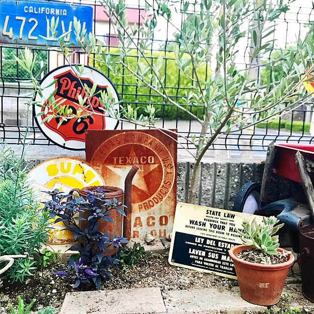 Chieさんの実例写真