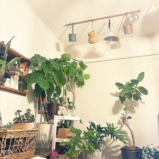 hirariさんの実例写真