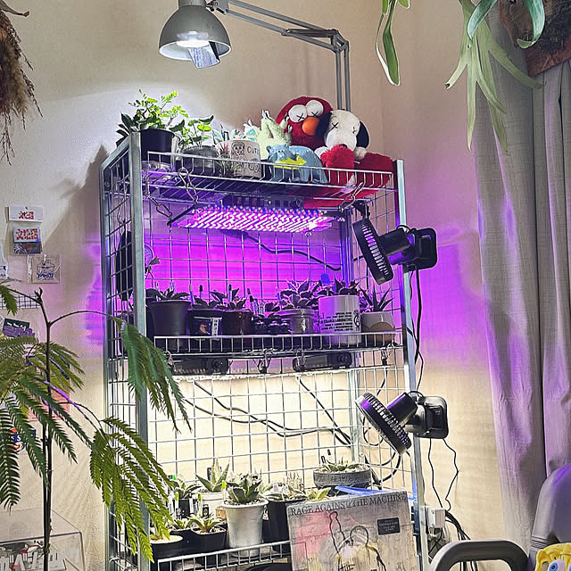 floydさんの部屋