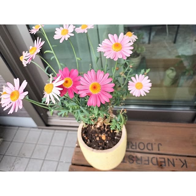Retさんの部屋