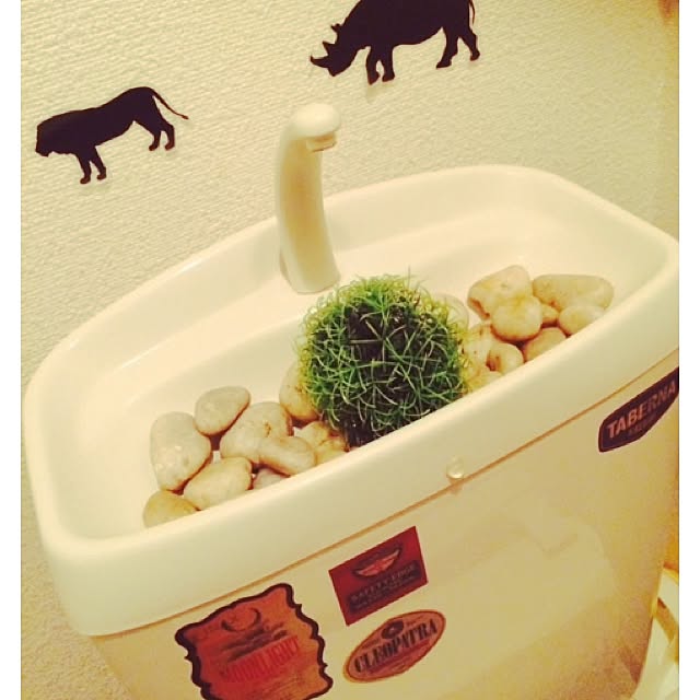chaboさんの実例写真
